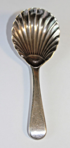 Antique 1810 georgian shell - 1810,