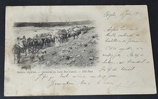 Postcard 1902 algeria - postcard,