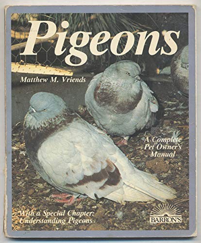 Pigeons complete pet - pigeons,