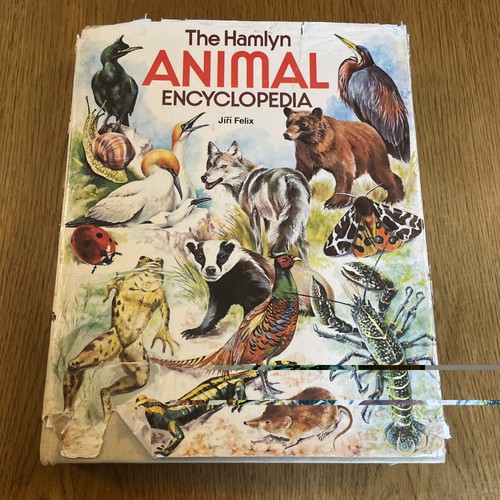 The hamlyn children animal - children's,