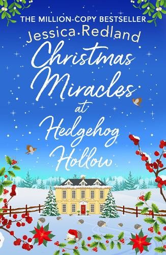 Christmas miracles hedgehog - miracles, at