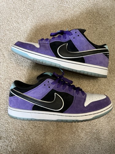 Hayley wilson nike dunk sb - nike,