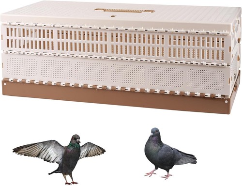 Plastic portable pigeon - xl,