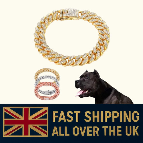 Dog cat chain - cat, collar