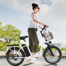 20 inch Fat Tire Electric