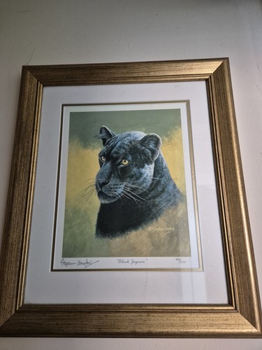 Black jaguar framed - ‘black, jaguar’