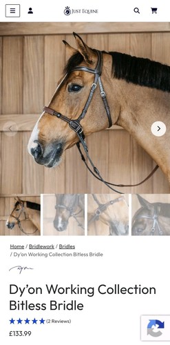 Brown bitless bridle - dy'on,