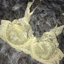 Shapely Figures Yellow Lace