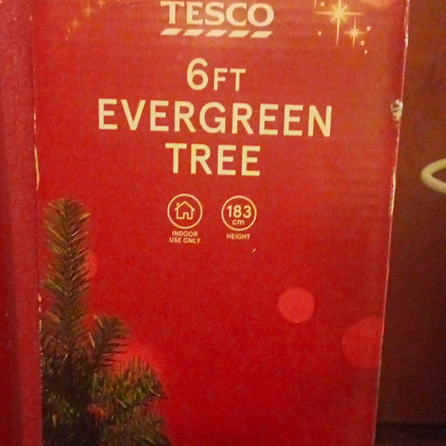 Tesco 6ft 183cm - tesco, evergreen
