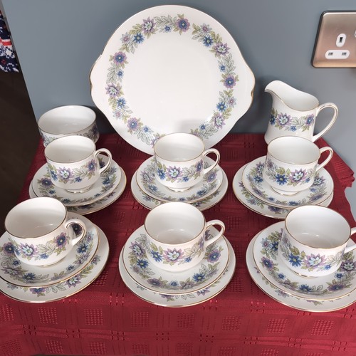 Paragon cherwell fine bone - fine,