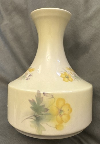 Royal worcester spode palissy - worcester,