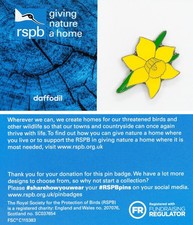 RSPB Pin Badge GNaH Daffodil