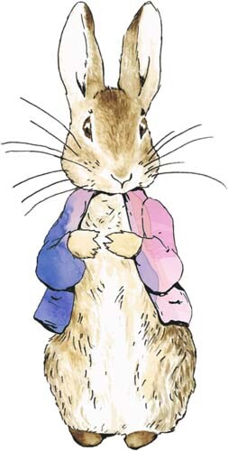 Peter rabbit watercolour wall - rabbit,