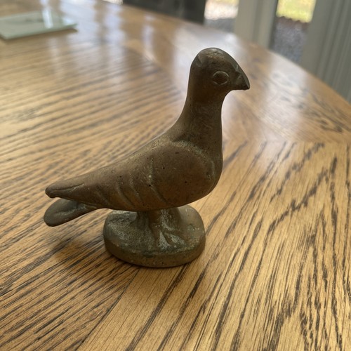 Antique solid brass pigeon
