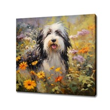 Bearded Collie Dog Colourful