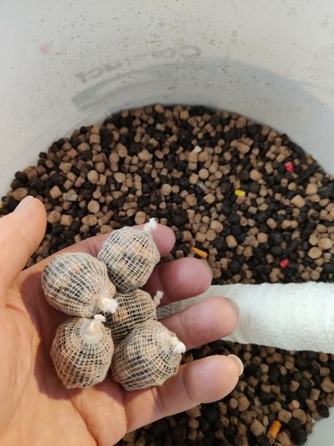 Bait balls pre filled - filled, carp