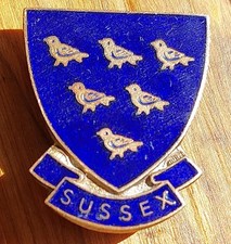 Sussex Vintage Enamel Pin