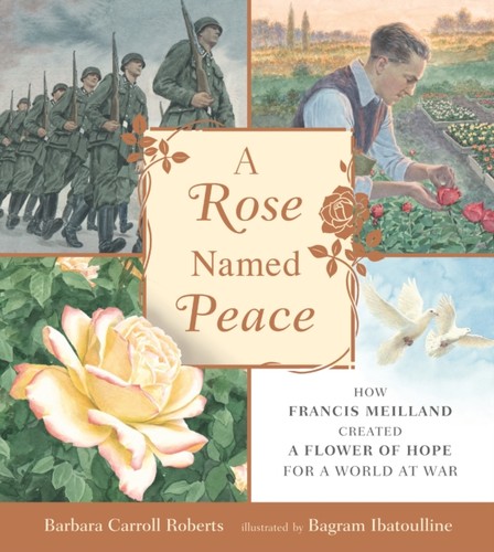 Rose named peace - peace, by