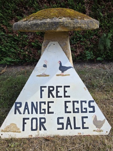 Free range eggs - eggs, for