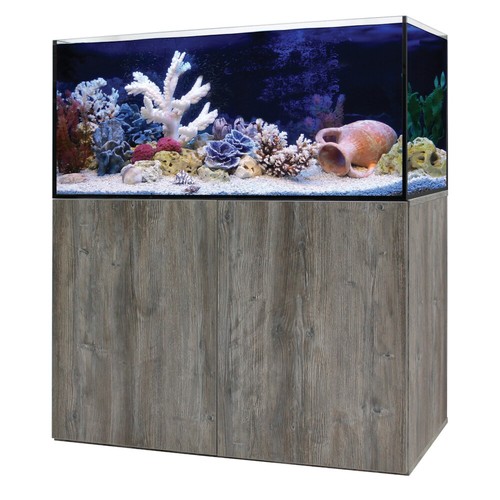 Aqua one aquarium fish - fish, tanks