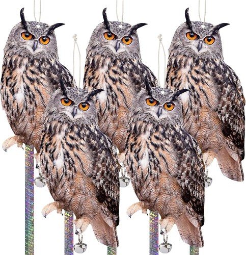 5pcs owl bird - owl, set