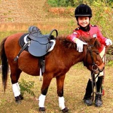 Entry level pony saddles - entry,