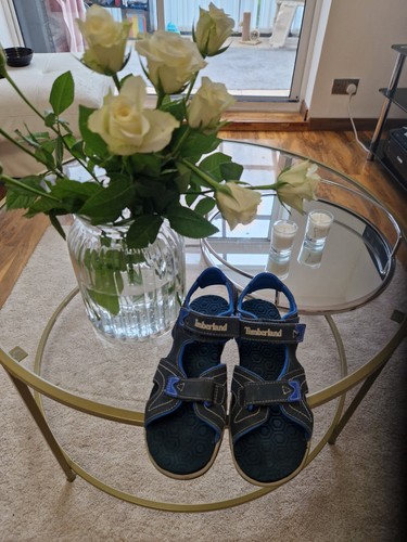 Timberland boy navy - boy, sandals