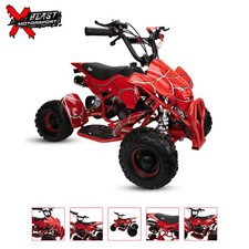 50cc Petrol Kids Mini Quad