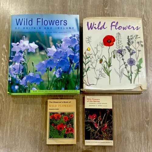 Wild flower identification