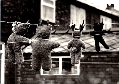Teddy bears washing line - teddy, a