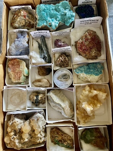 Sale full tray with high - full,