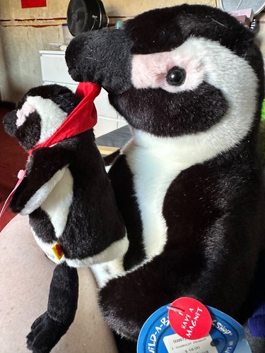 Build bear louis zoo - a,