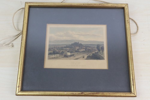 Antique coloured engraving - coloured,