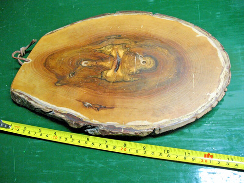 Vintage tree trunk wood - ,