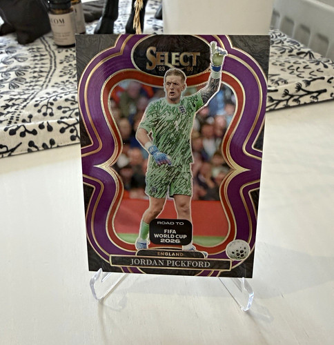 Panini select fifa - fifa, cup