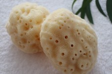 2.5-3" Buhaii Natural Sea