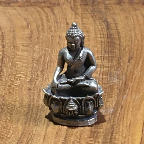 Thai amulet buddha calling the - amulet,