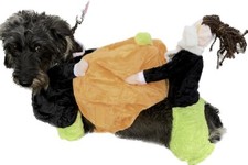 Pet Halloween Pumpkin Costume