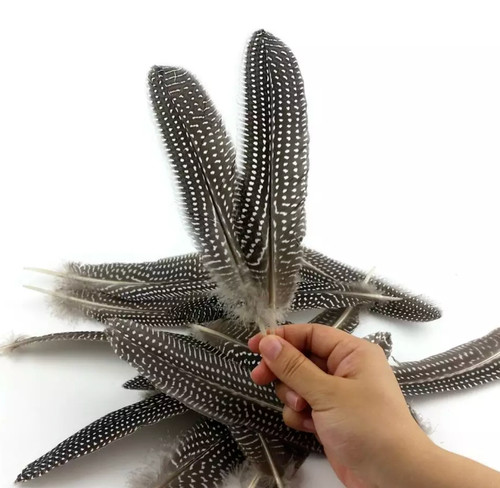 50pcs black white spotted - white,
