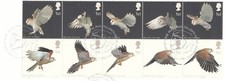 Birds of Prey GB Used Tallents (a) 2003 ON PIECE (147380)