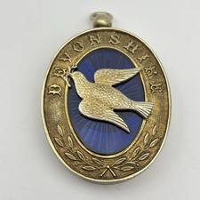 Devonshire Craft Provincial Past Rank Stirling Silver Masonic Jewel Regalia