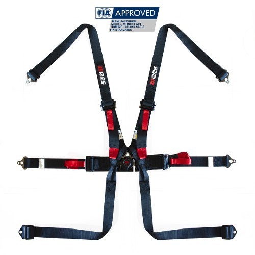 Fia rrs single - fia,