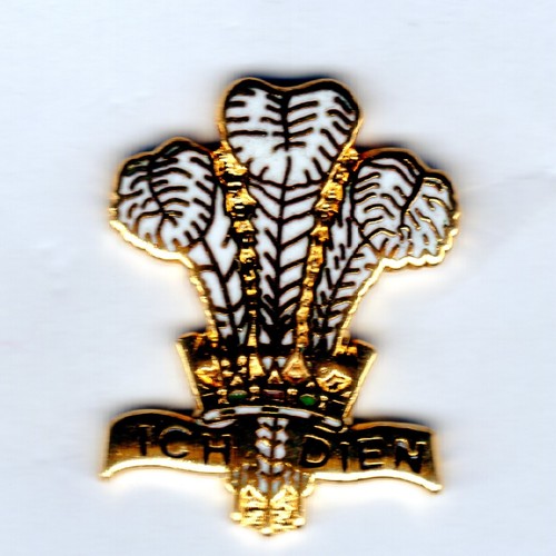 Enamel lapel badge royal - enamel,