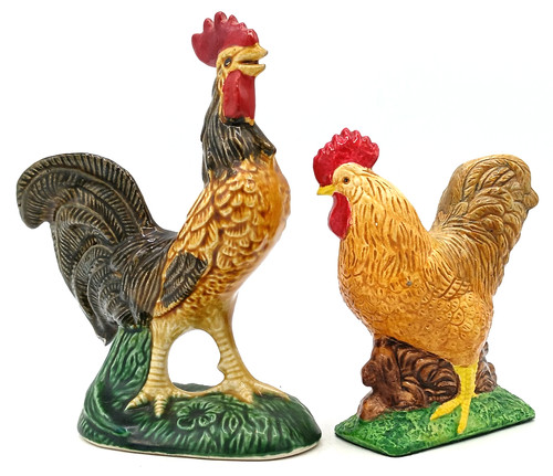 Colourful chickens hens - 2,