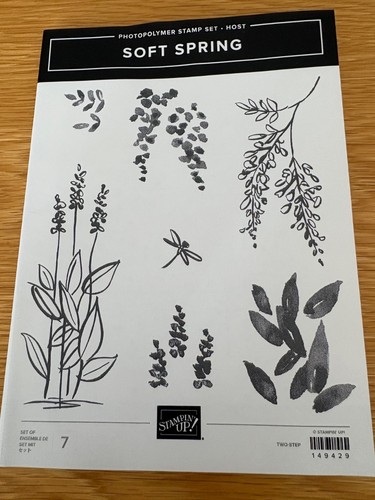 Stampin soft spring - up,