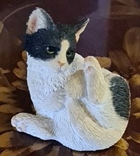 Sherratt & Simpson Kitten