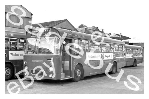 Bus photograph western - bus,