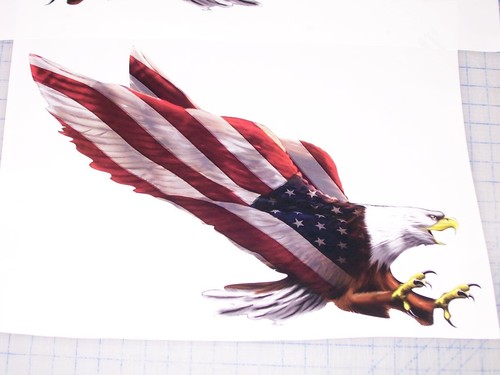 Pair american flag - flag, eagle