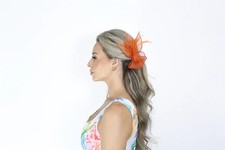 Women Fascinator Hair Clip