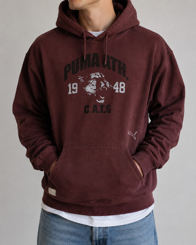 Puma hoodie bordeaux size - puma,